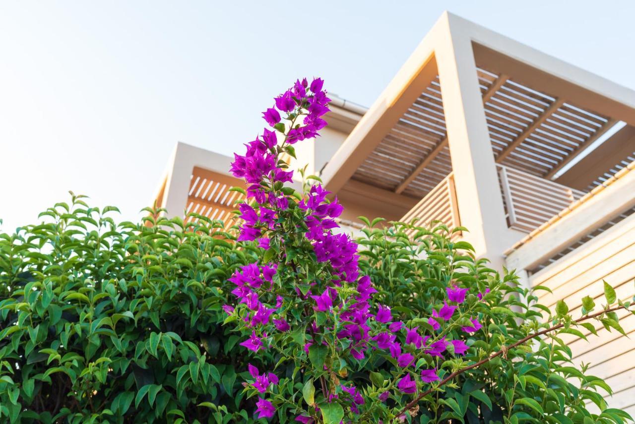 Aelia Home Suites ماراثوبوليس المظهر الخارجي الصورة